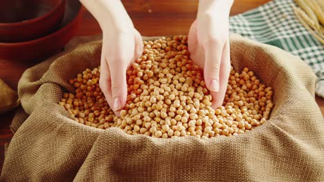 hands scooping and pouring chickpeas into a burlap sack