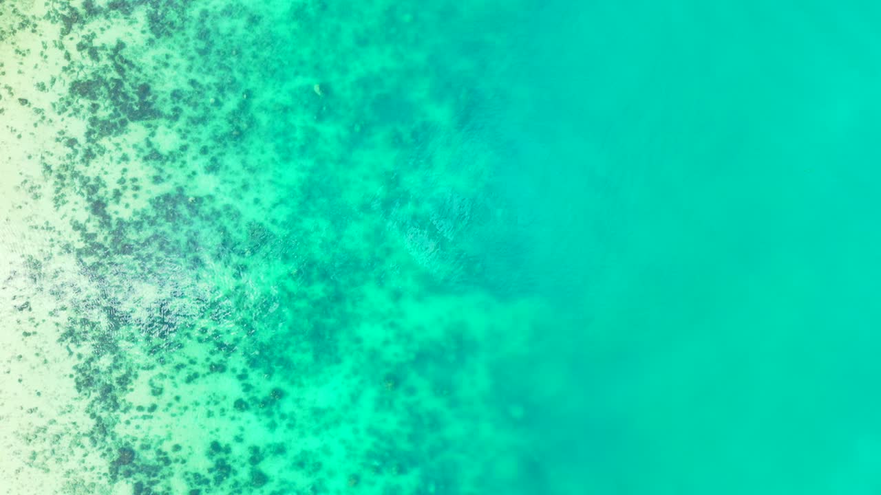 터키석과 케이코스의 맑은 물 아래 바다 밑바닥에 하얀 모래와 바위를 통해 자라는 산호초가 있는 청록색 얕은 석호