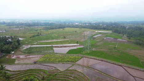 Drone-shot-of-high-voltage-electricity-tower-on-the-middle-of-rice-field