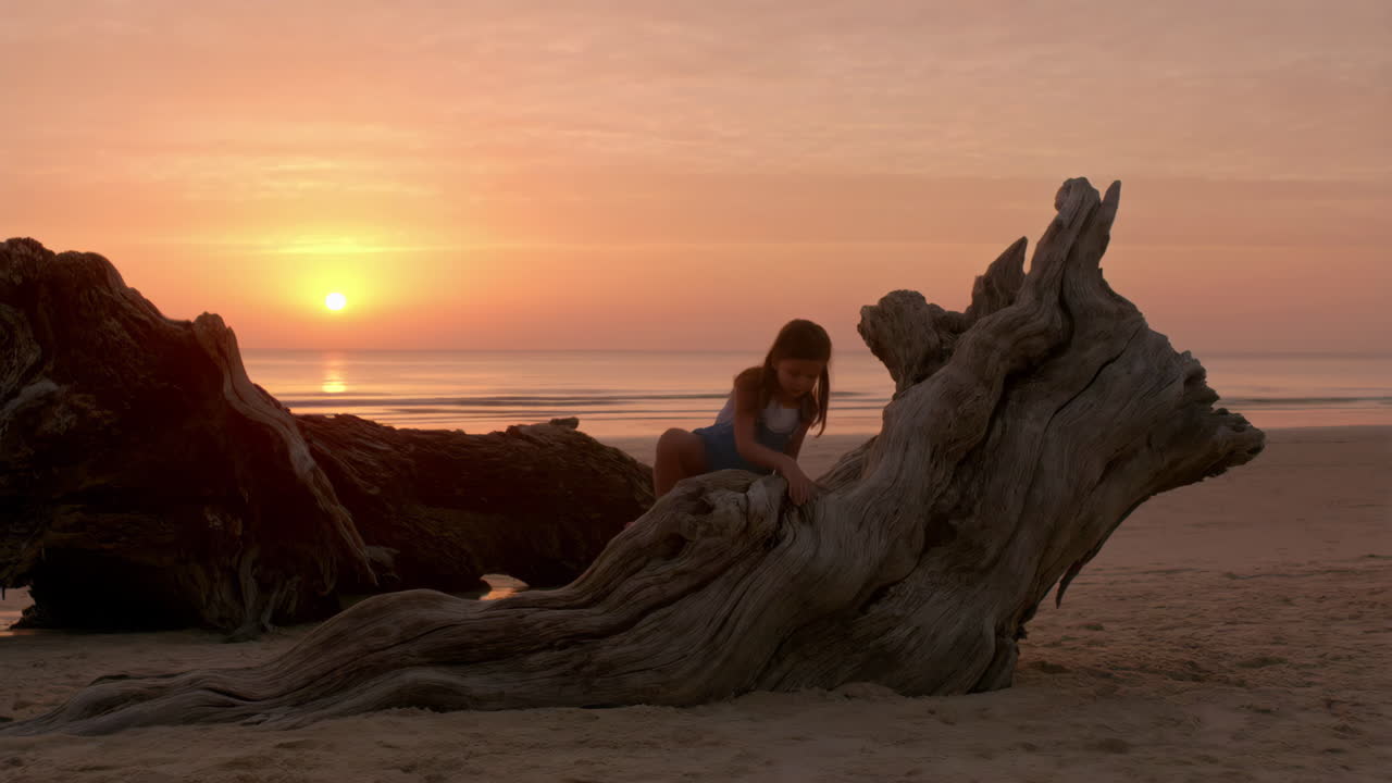 Girl playing on a driftwood at sunset on a beach