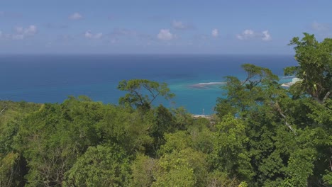 lush green canopy overlooking turquoise