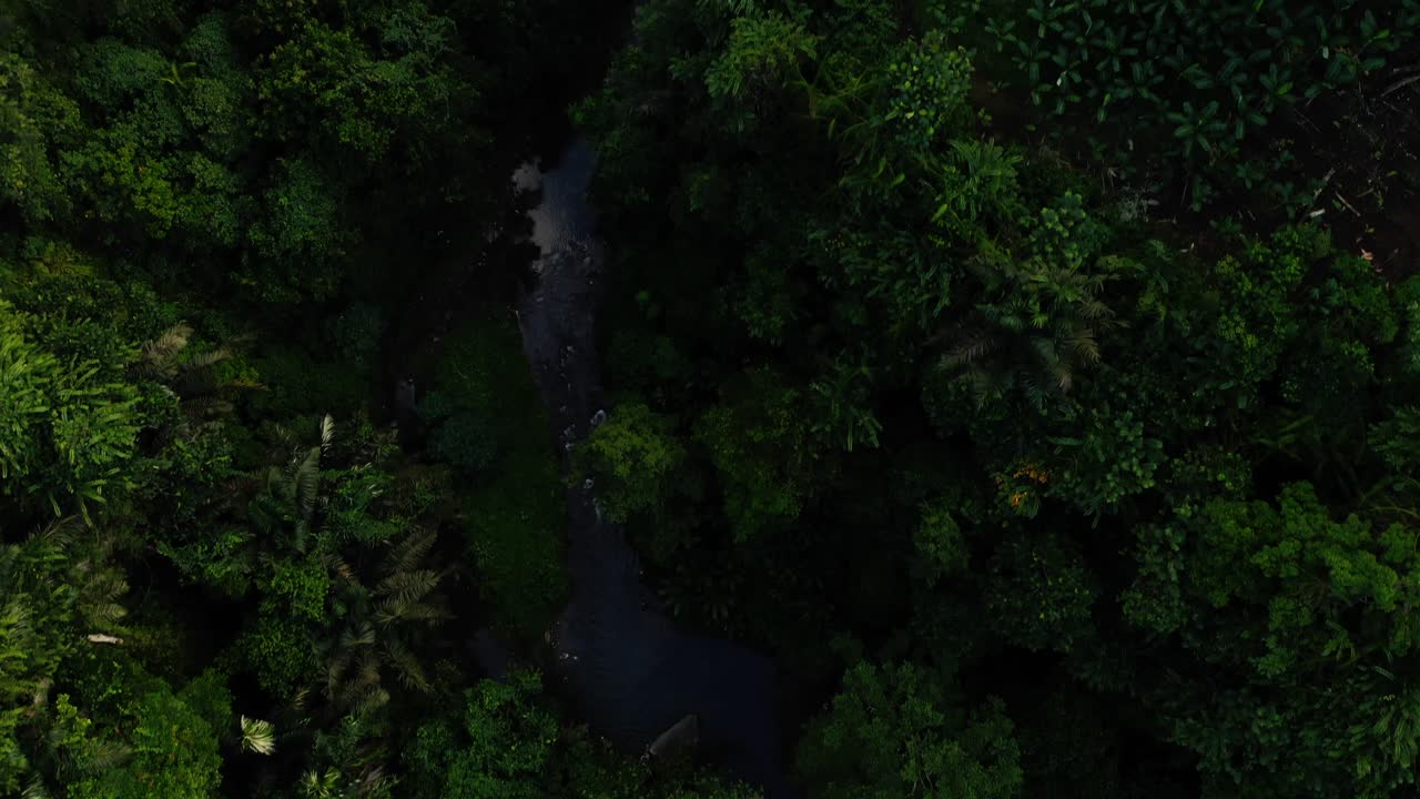 vista aerea de la selva
