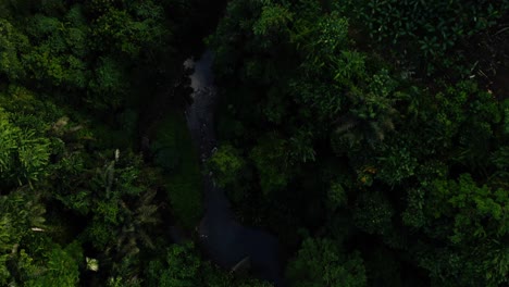 vista aerea de la selva