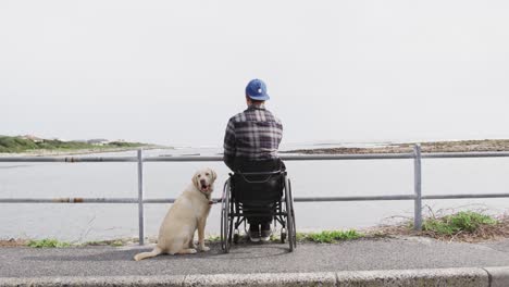 Mann-Im-Rollstuhl,-Der-Mit-Seinem-Hund-Auf-Das-Meer-Blickt