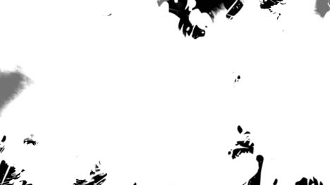 paquete de transiciones de tinta 9