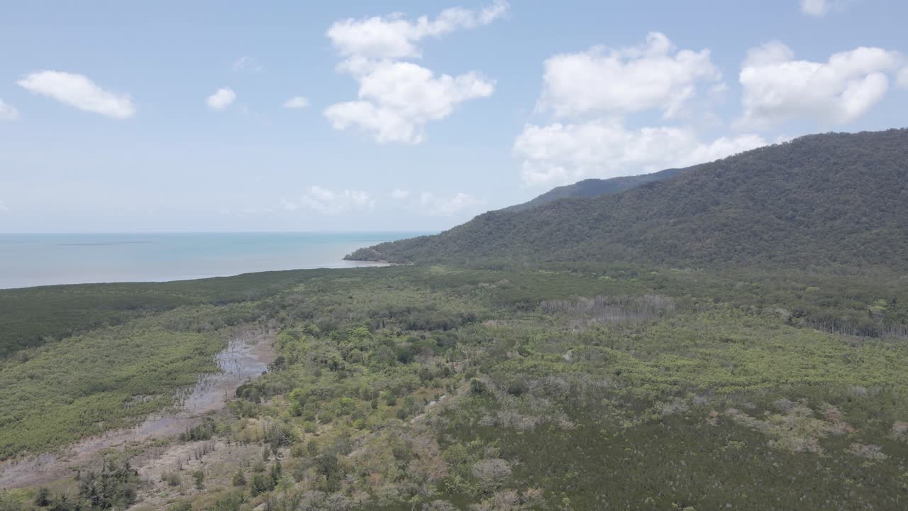 reserva forestal trinity cerca de cairns en el extremo norte de queensland, australia