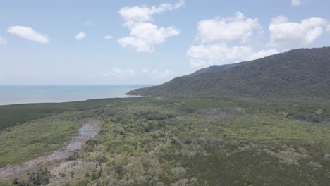 Reserva-Forestal-Trinity-Cerca-De-Cairns-En-El-Extremo-Norte-De-Queensland,-Australia