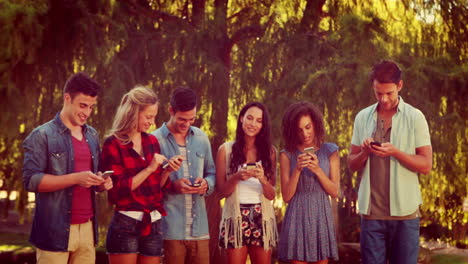 Happy-friends-in-the-park-using-their-phones