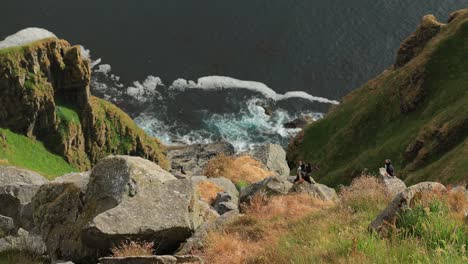 atlantic puffin (fratercula arctica), on the rock on the island of runde (norway).