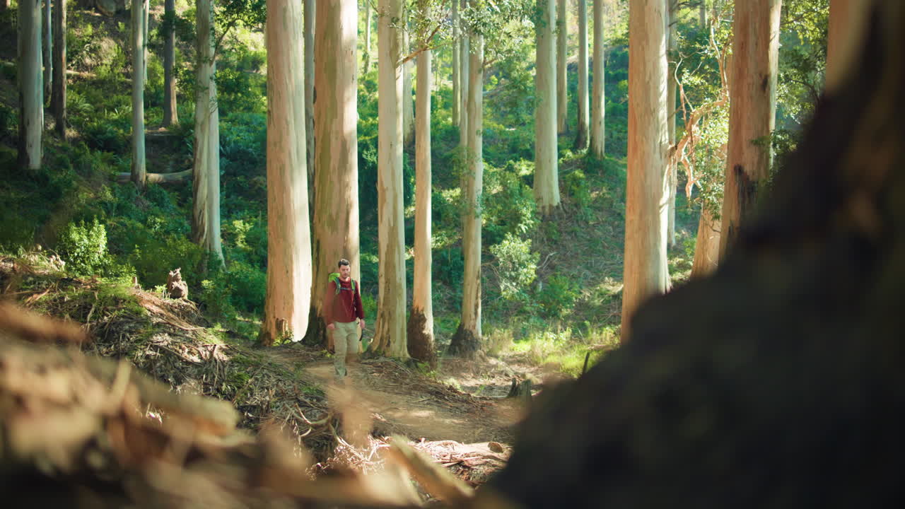 숲에서 산책하는 남자