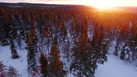 Ardiente-Puesta-De-Sol-Sobre-El-Paisaje-Forestal-De-Invierno