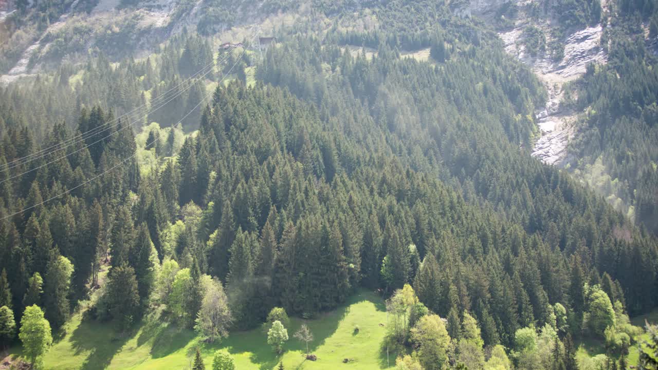 impresionante lapso de tiempo de polen de árbol en una tormenta de foehn en grindelwald en los alpes suizos