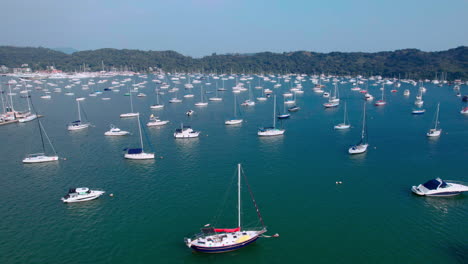aerial view of luxury yachts and sailboats in marina
