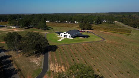 a low-altitude drone shot rotating right around a vineyard wedding venue, capturing the building and surrounding vineyard rows from a dynamic perspective