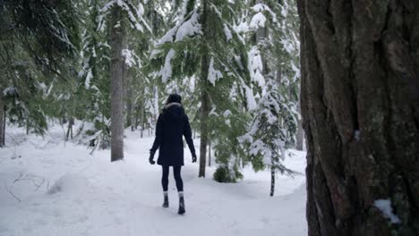 female hiker walks through winter forest in the snow, rear view, british columbia