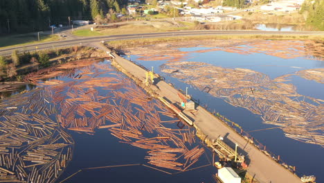 Aserradero-En-Coquille,-Oregon.-Concepto-De-Deforestación