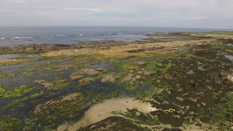 volando sobre las rocas del mar de la playa. fondo de la naturaleza