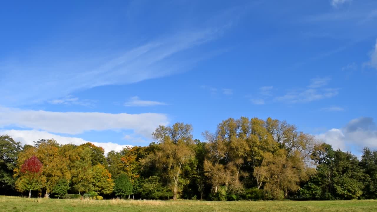 Autumn Landscape: Colorful Trees and Blue Sky