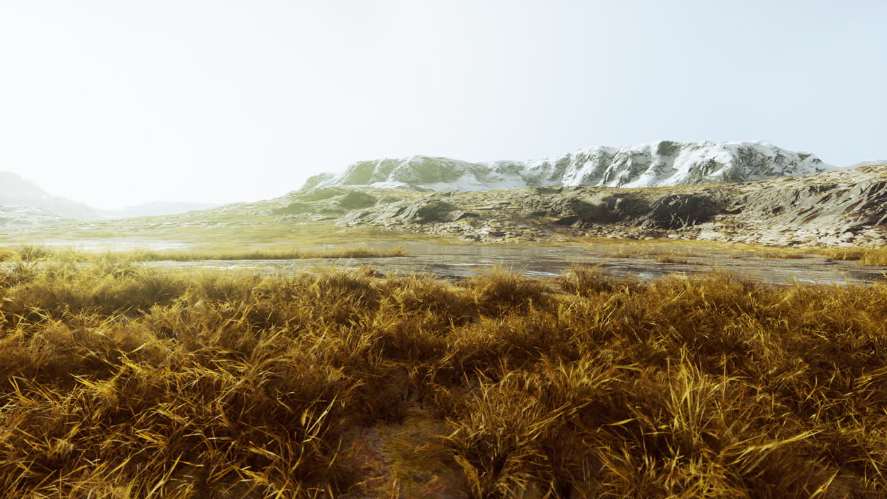 hierba seca en la montaña con niebla