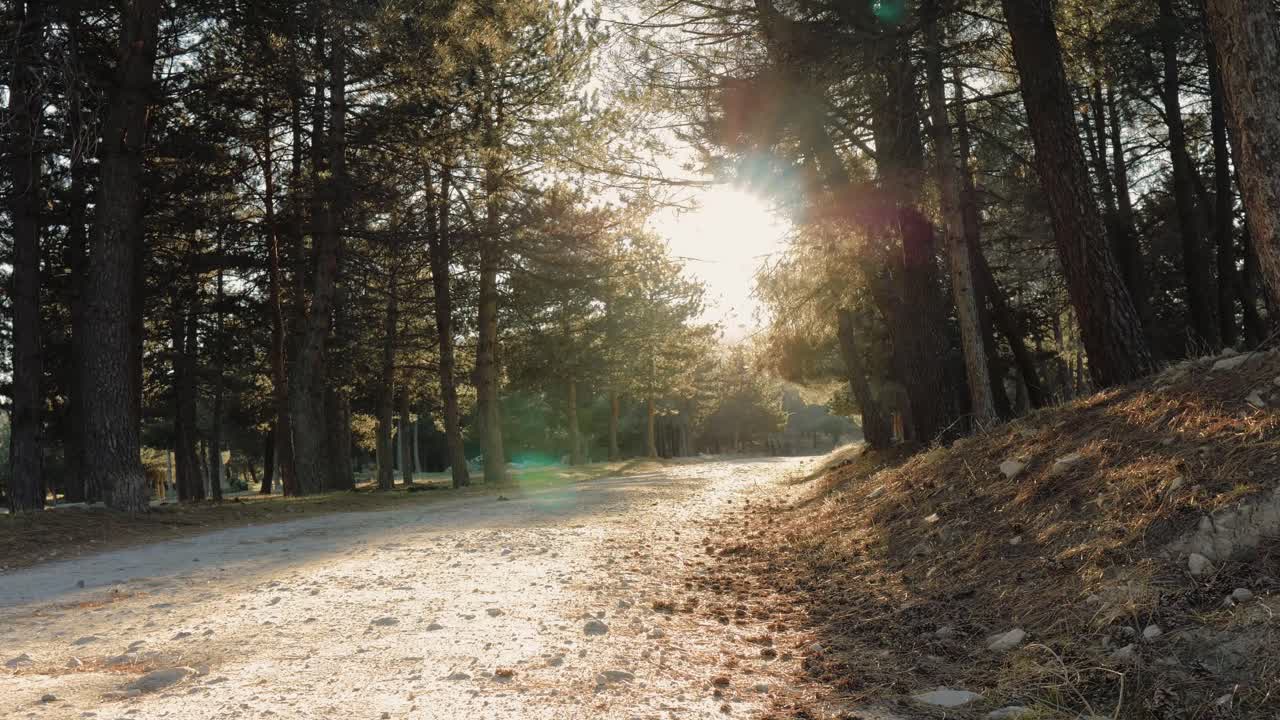 una escena otoñal al atardecer
