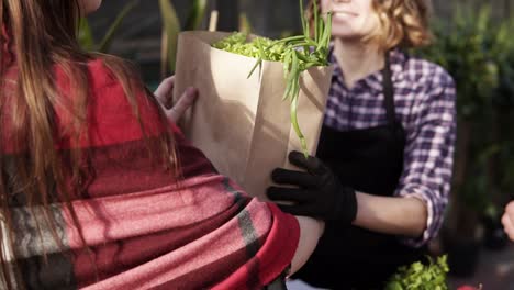 unrecognizable people selling organic food in a local harvest market. cropped footage of hands of customer giving money - american dollar note to a seller and take the paper bag with grocery. sunshine blicks