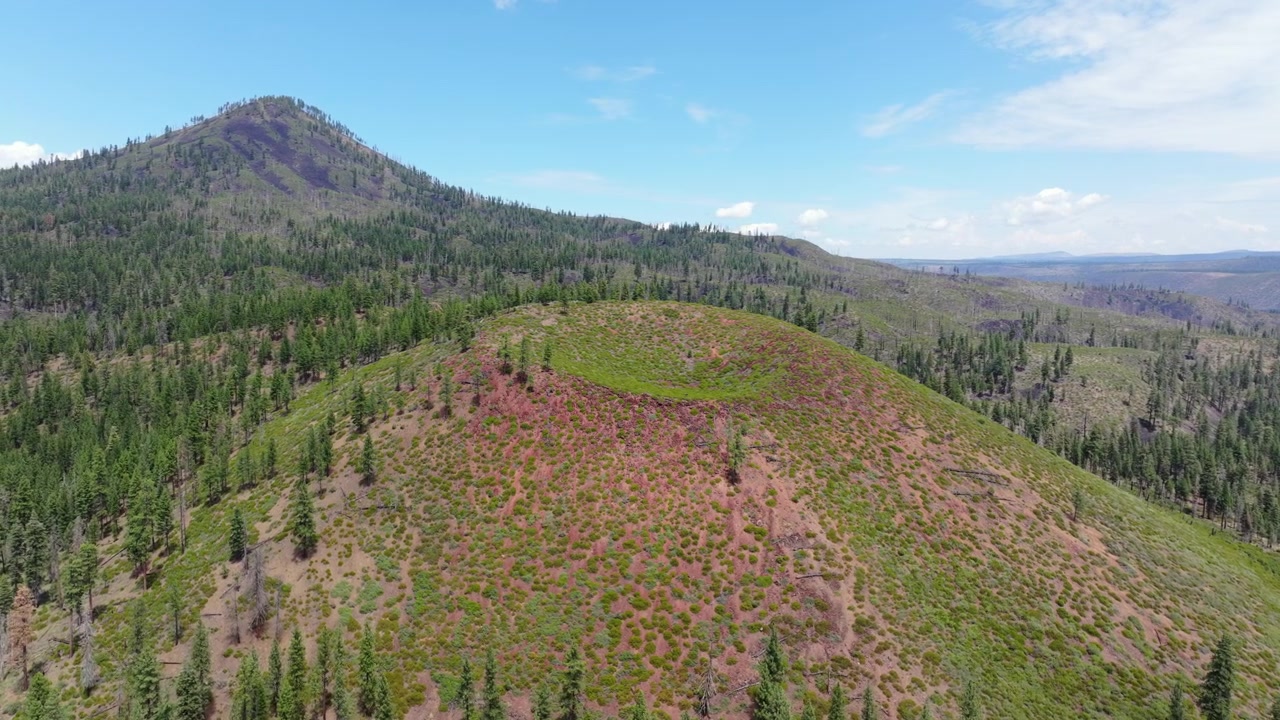 Luftfoto i bane av en vulkansk slaggkjegle dekket av rødlig jord og grønn vegetasjon, omgitt av en tett eviggrønn furuskog nær Lassen Volcanic National Park, California