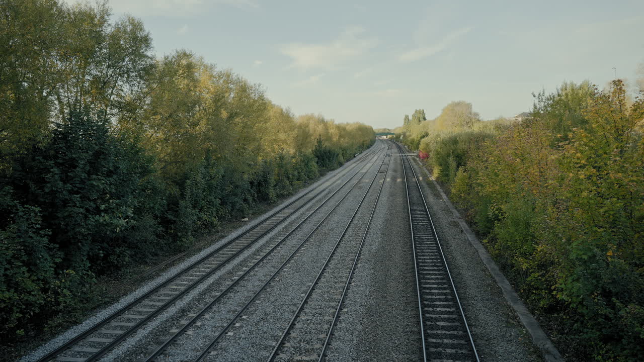 영국의 나무로 둘러싸인 기찻길