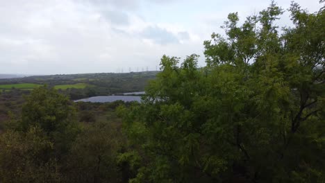 Granja-Solar-Que-Genera-Energía-Limpia-En-El-Campo