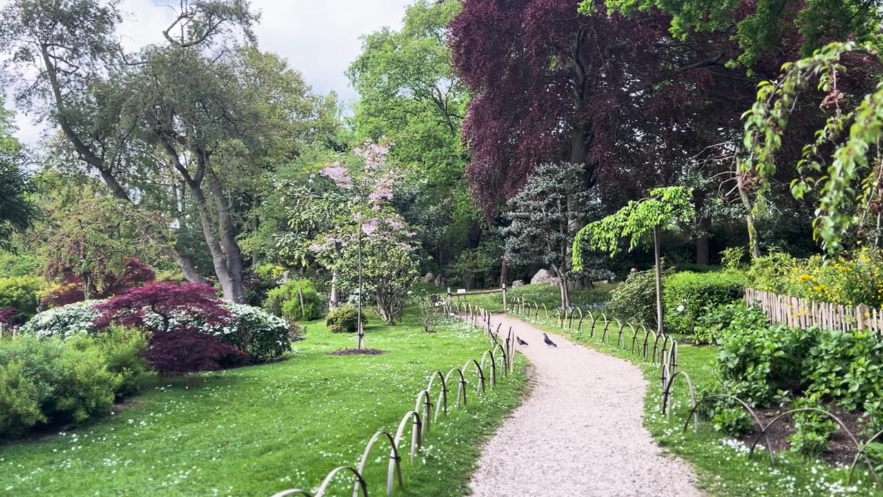 Londra Holland Park Kyoto Bahçesi