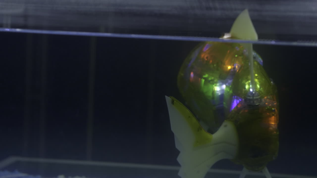 水槽内のロボットフィッシュ