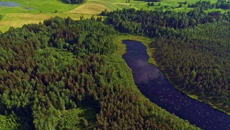 Wasser-Im-Rückhaltebecken-Als-Feuchtigkeitsquelle-Für-Waldtiere-Und-Pflanzen