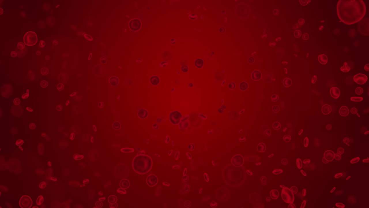 3D røde blodlegemer 4K loop-animation i en arterie, strømmer inde i kroppen, medicinsk.