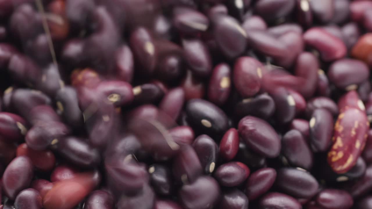 frijoles de frijol rojo.