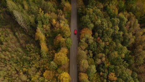 Vista-Aérea-Tomada-Desde-Una-Carretera-En-Un-Bosque-De-Colores-Otoñales-Hasta-El-Horizonte-Con-Las-Montañas-Alp-En-El-Fondo,-Maravilloso-Viaje-De-Temporada