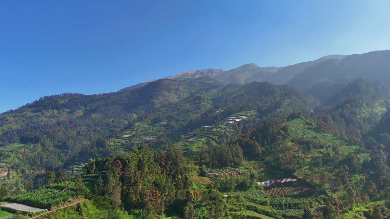 Aerial view of lush green mountain slopes bathed morning sunlight under clear blue sky. Mount Merbabu, Indonesia