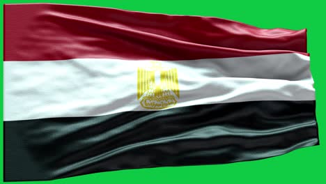 4k highly detailed flag of egypt - egypt flag high detail - national flag egypt wave pattern loopable elements