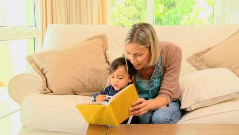 Mother-reading-a-book-with-her-son