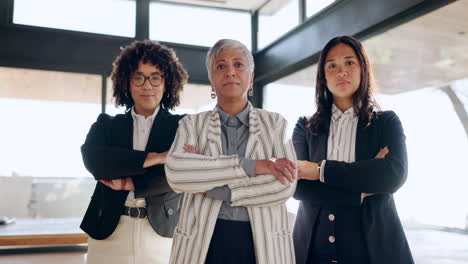 Mujeres-Serias,-Equipo-De-Negocios