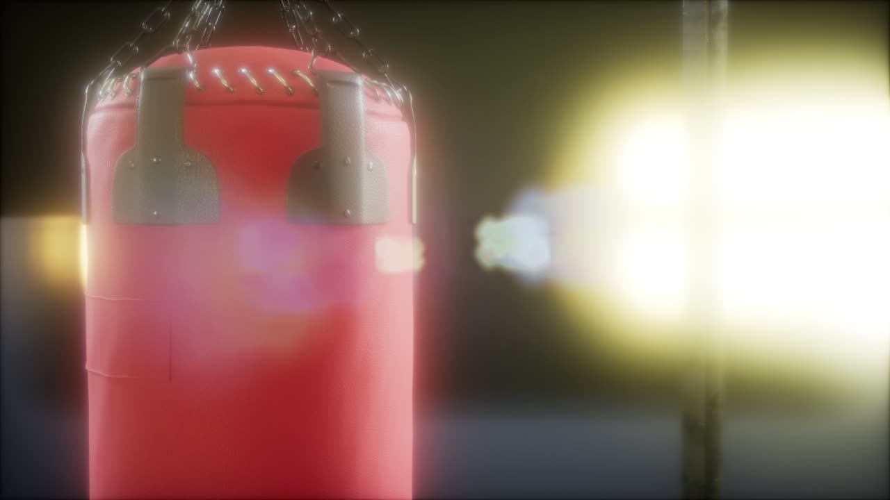 권투 또는  ⁇  권투 스포츠를 위한 권투 가방