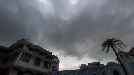 birds frantically seek shelter on surrounding building roofs as dramatic storm clouds approach in this stock footage