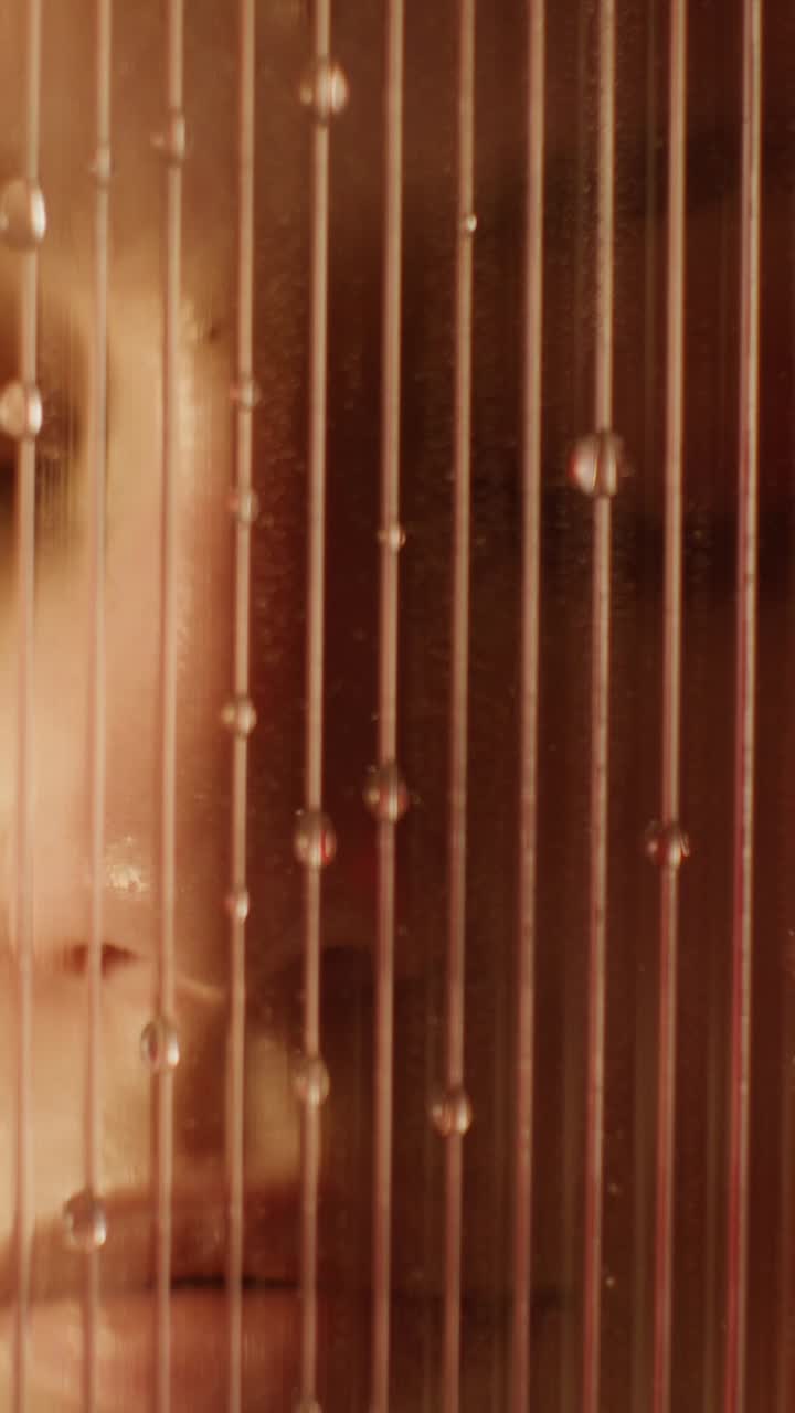 el rostro de una mujer detrás de un arpa