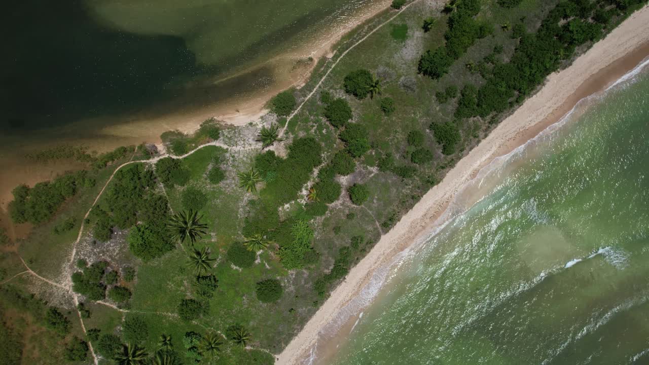 volando sobre la playa de são miguel dos milagres en el estado de alagoas, brasil.