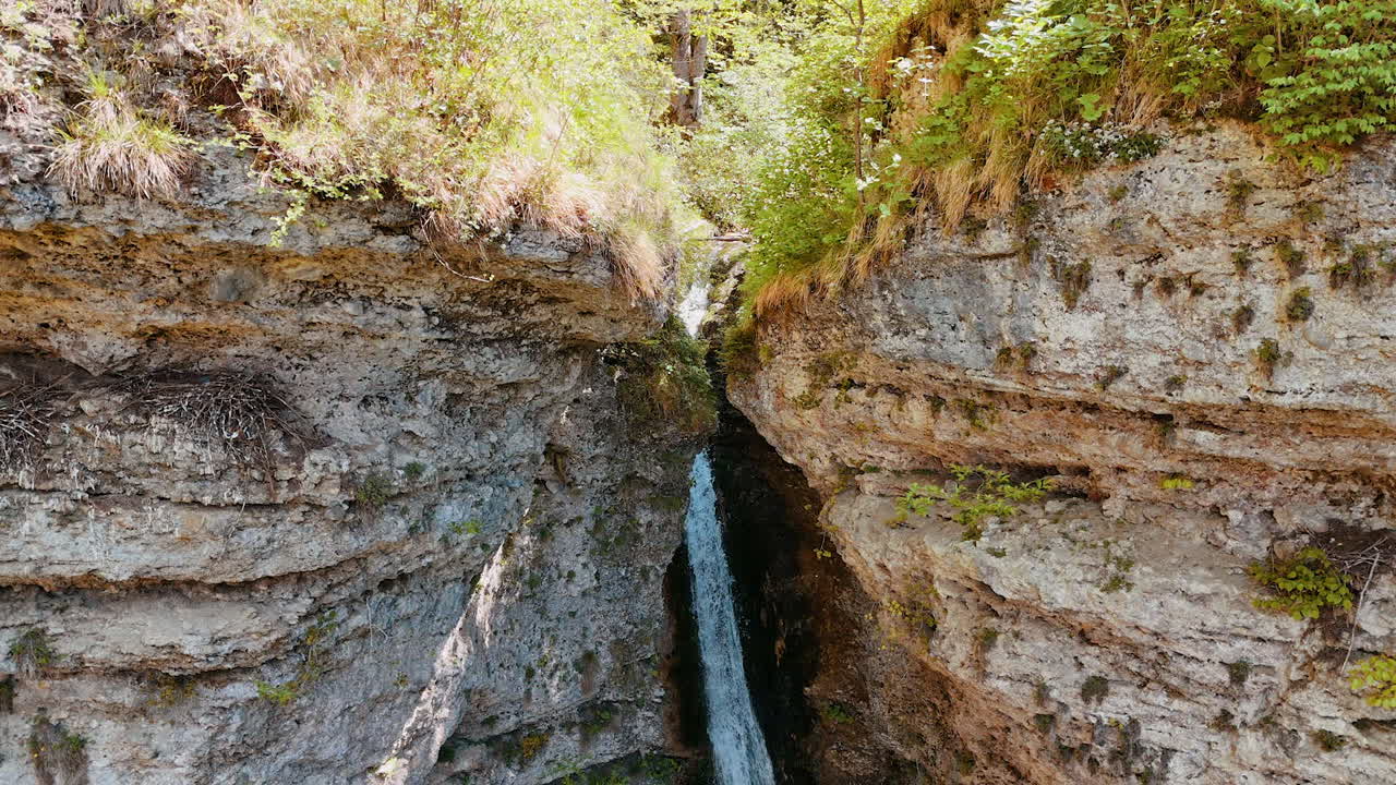 Sandstones overgrown with diverse wild plants. Waterfall flows among the rocks. Bird arrives to its nest among the stones.
