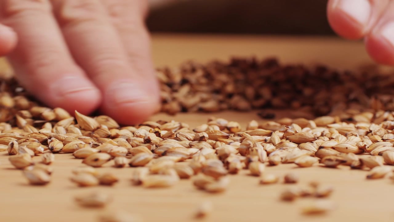 Close-up of Hands Sifting and Spreading Barley Grains on a Wooden Surface