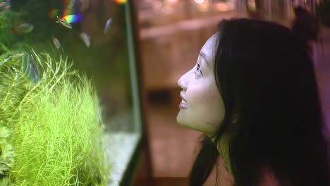 southeast asian woman looking and admiring a big aquascape with small fishes swimming around, outdoor in the night