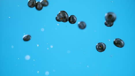 Explosion-of-blueberries-and-water-with-single-berry-in-focus