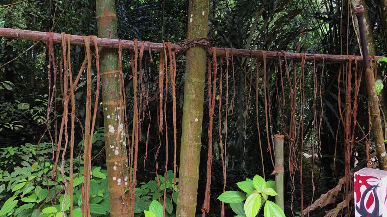 Strips of tree bark hang to dry for crafting rope, vests, and materials at Mari Mari Cultural Village, Kota Kinabalu, Malaysia