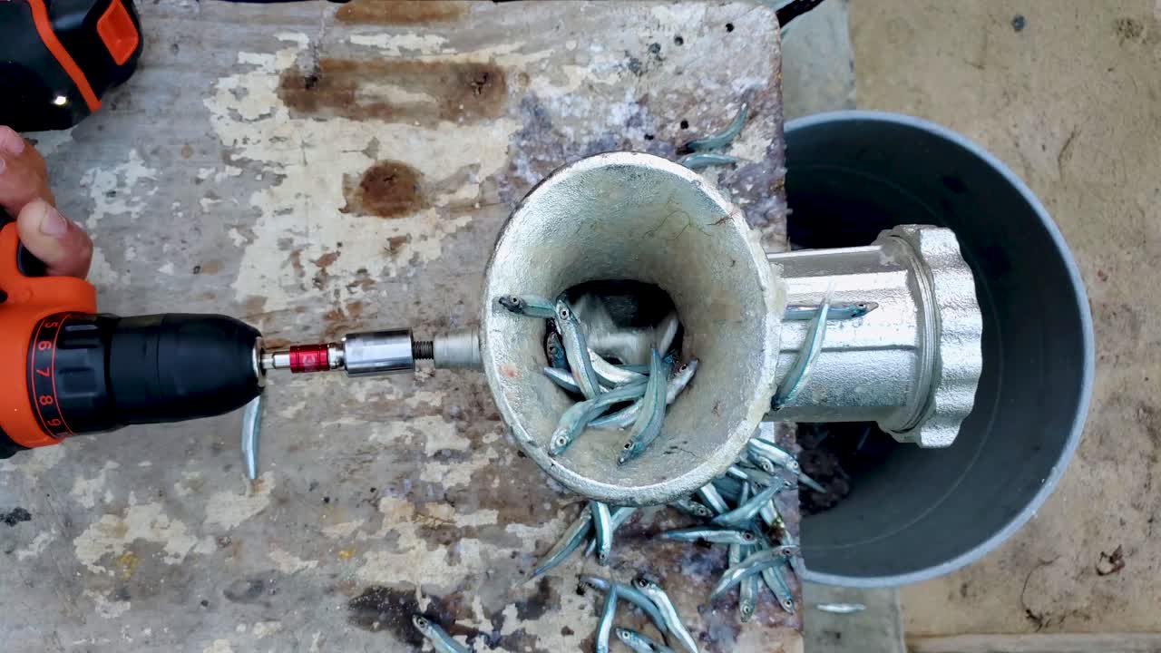 de arriba hacia abajo de cerca manos preparando pescado, usar un molinillo para cortar el cebo, trabajo artesanal