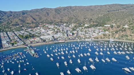 catalina island harbor blue ocean and tropical beaches view from drone