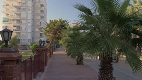 caminando por la acera alineada con la calle de las palmeras con tráfico de automóviles y hoteles de turquía